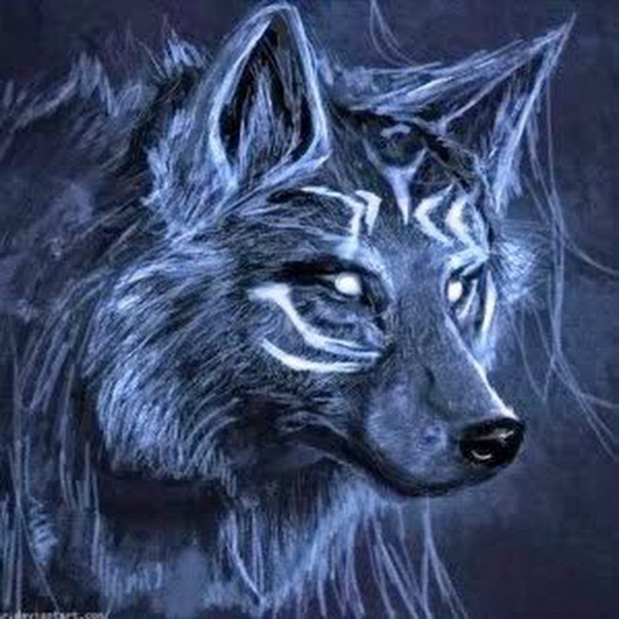 sandrokapanadze777