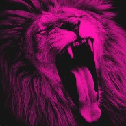 bubles13
