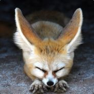 RoadGoodGame
