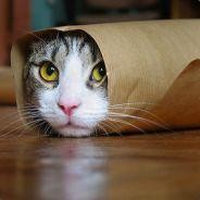 mrtwice