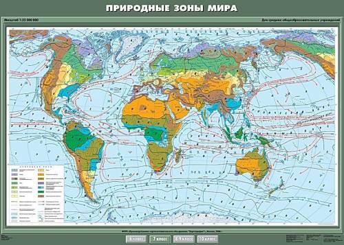 Каковы особенности размещения природных зон на материках в океане