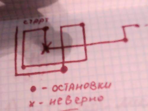 Нарисуй путь божьей коровки, если она сделала шесть остановок, перемещаясь по диагонали прямоугольни