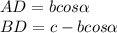 AD = b cos \alpha \\ 
BD = c-b cos \alpha