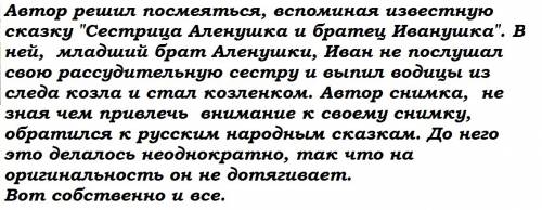 Обясните почему автор фотографии назвал братец иванушка пстроити своё высказыване по типу рассуждени