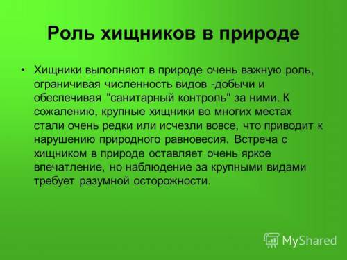 Отряд хищные представитель волк, рысь, медведь,куница: роль в природе и в жизни человека