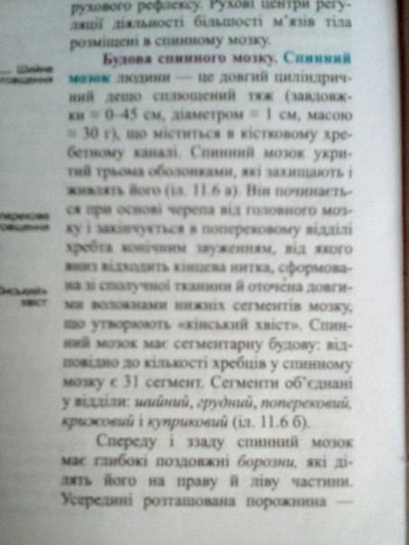 Зіставте риси будови та функції спинного мозку та хребта. іть пліз , коротко і ясно)