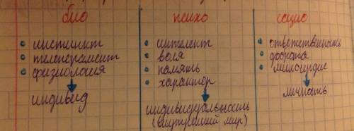 Составить таблицу: человек|индивид|личность