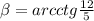 \beta =arcctg \frac{12}{5}