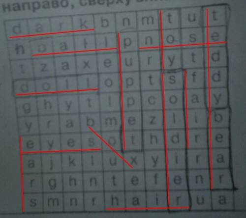 Найди 13 слов по темам игрушки, внешность. слова могут читаться слева направо, сверху вниз и по диаг