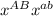 x^{AB} x^{ab}