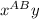 x^{AB} y
