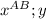 x^{AB} ; y