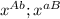 x^{Ab} ; x^{aB}