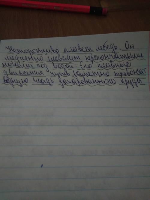 Подчеркнем главные члены и второстипенные текст неторопливо плывет лебедь.он медленно шевелит перепо