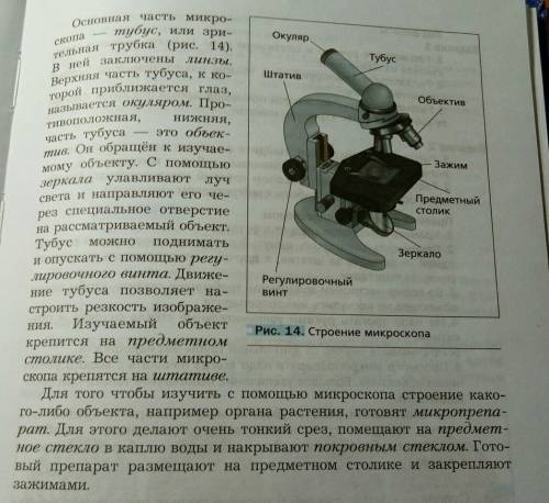Изучите микроскоп. найдите тубус окуляр,объектив, штатив с предметным столиком ,зеркало, винты. выяс