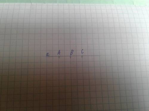 Начерти прямую и отметьте 3 точки