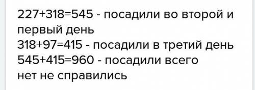 Рабочий поручили за 3 дня посадить деревья по краям аллеи длиной 1 км в первый день они посадили дер