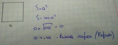 Чему равна длина сторон квадрата,если его площадь 100м²?