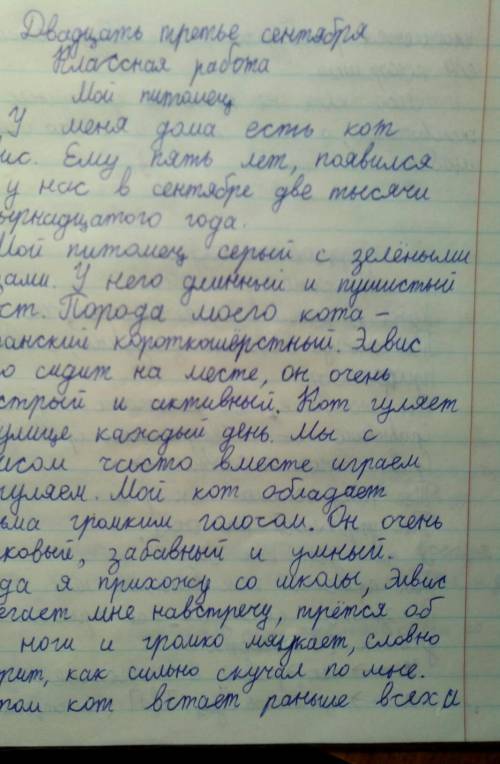 Мой домошний питомец (80-100 слова) эссе дайю 40 