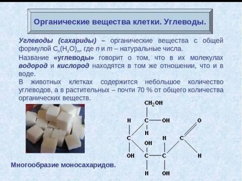 Эссе органические вещества клетки