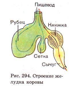 я должно это решать или я получу 00000