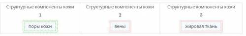 Определи структурные компоненты кожи на рисунке ниже