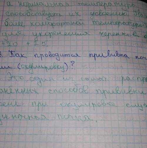 Как происходит размножение черенками винограда инжира граната лоха и тополя нужно​