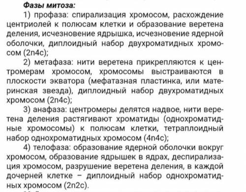 Заполните таблицу. События Профаза Метафаза Анафаза Телофаза Что происходит Количество хроматид в хр