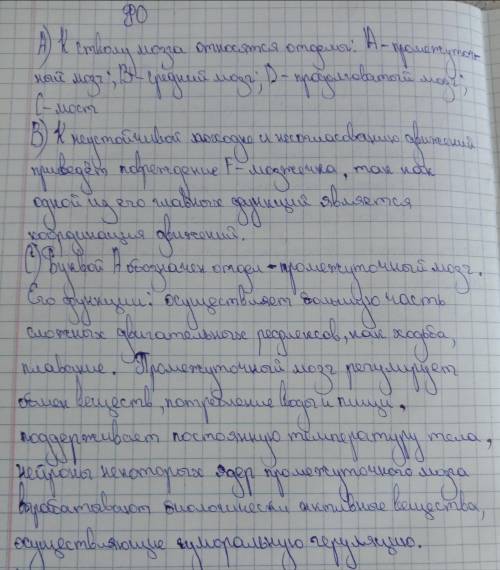 На рисунке представлено строение головного мозга. какие отделы головного мозга относятся к стволу мо