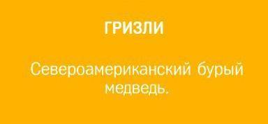 Приведите примеры преобразования электрической энергии в любой вид энергии (например утюг - электрич