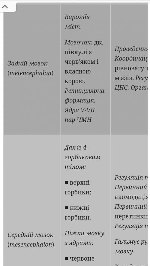 визначте залежність будови окремих структур головного мозку від виконуваних функцій 