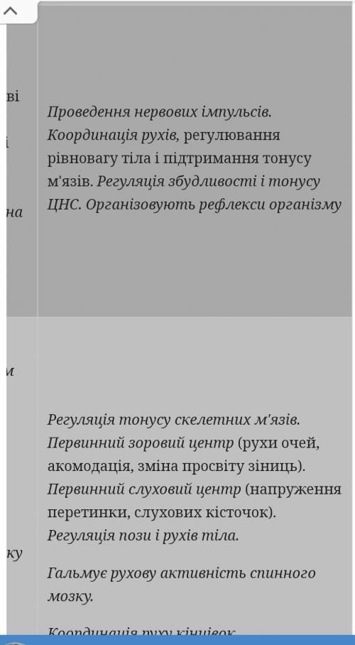 визначте залежність будови окремих структур головного мозку від виконуваних функцій 
