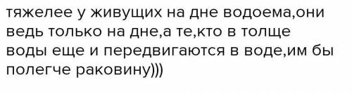 Почему моллюски живут на дне водоемов и медленно передвигаются?