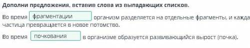 Формы размножения животных. Типы бесполого размножения. Половое размножение Дополни предложения, вст