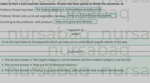Listen to Part 2 and read the statements. Choose the best option to finish the sentence. Professor B