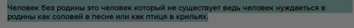 Напишите эссп русскиц​