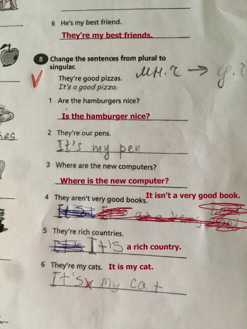 8 Change the sentences plural to singular