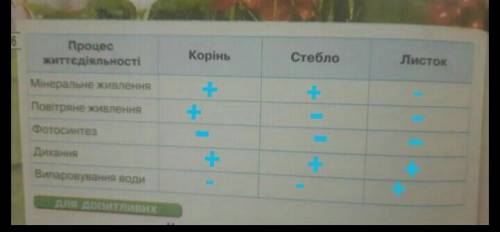 с таблицей,там надо,, +'' ставить