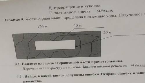 Задание 9. Желтогорлая мышь проделала подземные ходы. Получилось следующее.120 м40 м20 м9.1. Найдите