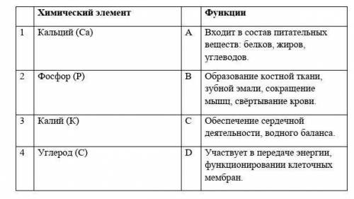 1. Соотнеси химический элемент и его функции в организме: