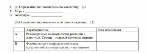 Определите вид экосистемы по масштабу А)море- В)Аквариум через 10 мин нужно здать 