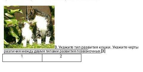 КТО СЕГОДНЯ ДОБРЫЙ?! умоляюю вам сюдаа