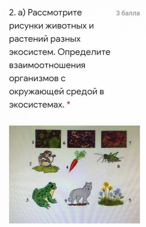 Производительпотребительдеструктор(разрушитель)