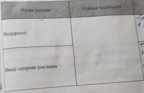 Ознаки подібності водоростей та вищих спорових рослин
