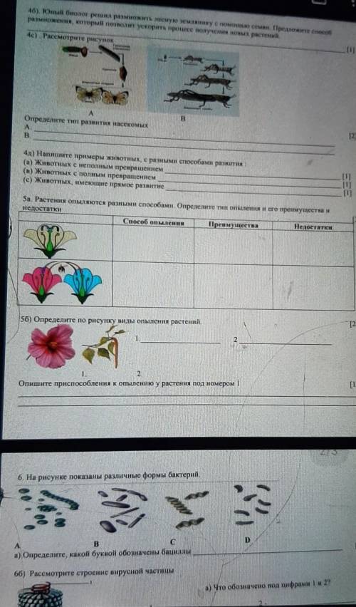 СОЧ ПО БИОЛОГИИ РЕБЯТА УМАЛЯЮ .. ЗАРАНИЕ БО 