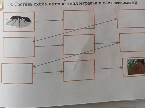3. Составь схему путешествия муравьишки с насекомыми 2 класс