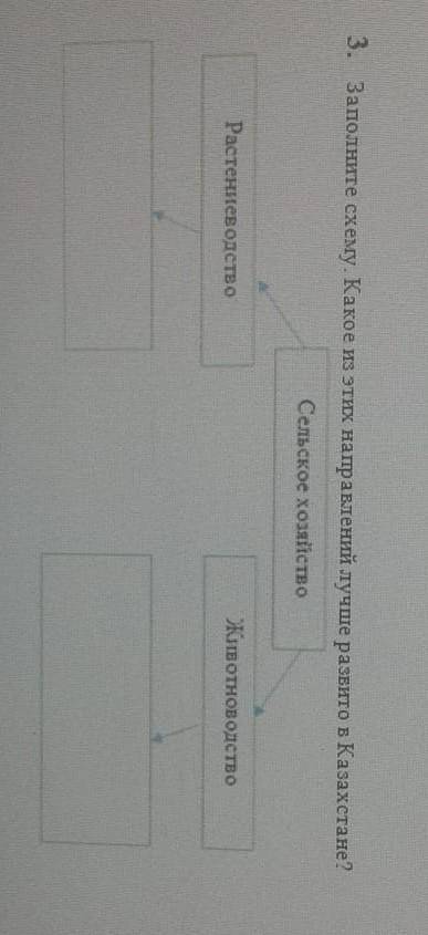 Заполните схему.Какое из этих направлений лучше развито в Казахстане?