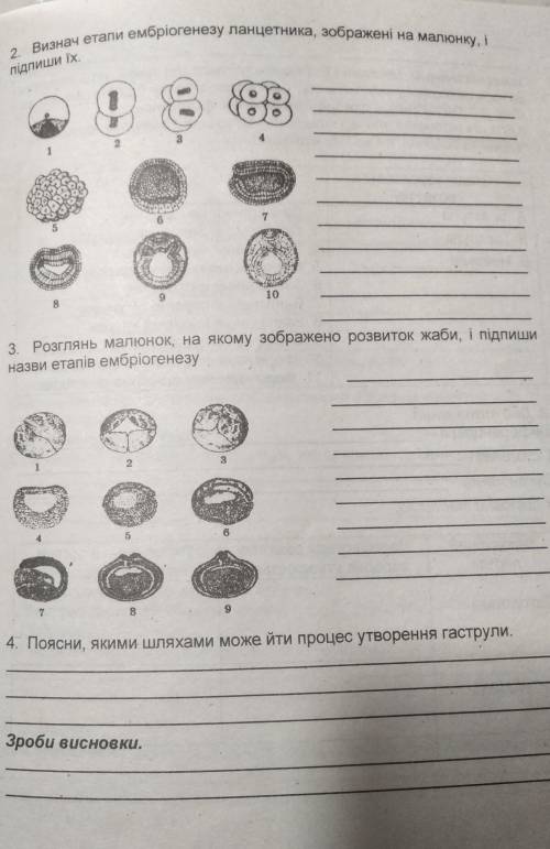 ть зробити лабораторну зараз здать треба до тьььь