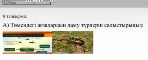 Төмендегі ағзалардың даму түрлерін салыстырыңыз
