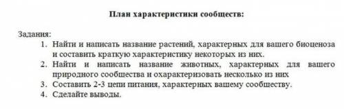 Напишите характеристику Соснового леса по плану